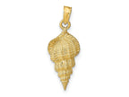 FJC Finejewelers 10 kt Yellow Gold Conch Shell Charm 24 x 9 mm