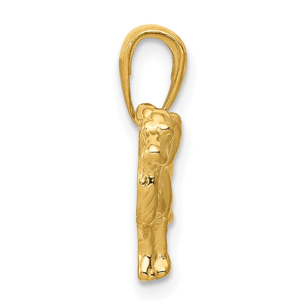 FJC Finejewelers 10 kt Yellow Gold Springer Spaniel Dog Charm 15 x 16 mm