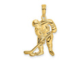 FJC Finejewelers 10 kt Yellow Gold Hockey Player with Stick and Puck Charm 18 x 15 mm