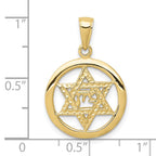 FJC Finejewelers 10 kt Yellow Gold Jewish Chi in Star of David Charm 25 x 17 mm
