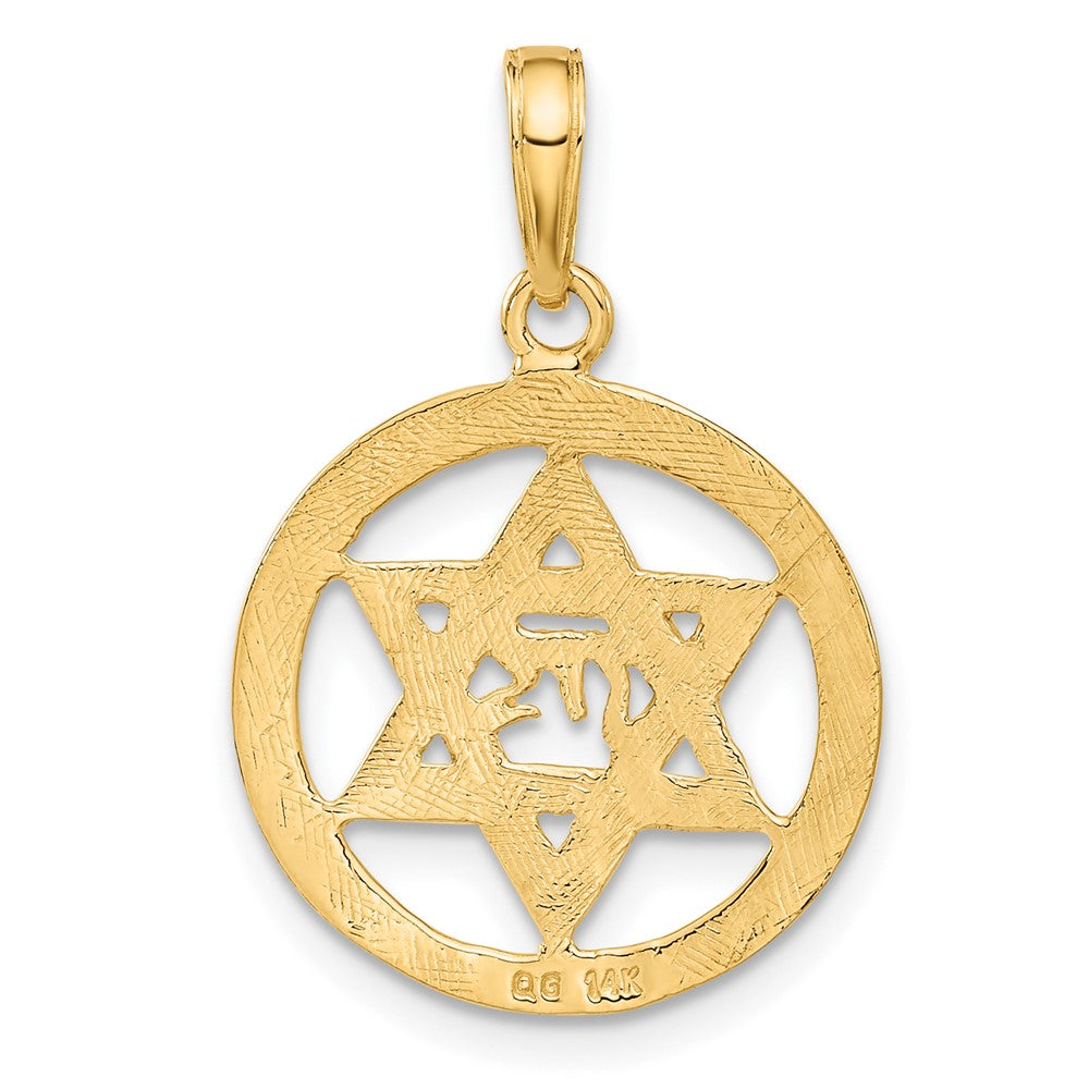 FJC Finejewelers 10 kt Yellow Gold Jewish Chi in Star of David Charm 25 x 17 mm