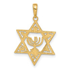 FJC Finejewelers 10 kt Yellow Gold Star of David with Menorah Charm 27 x 18 mm