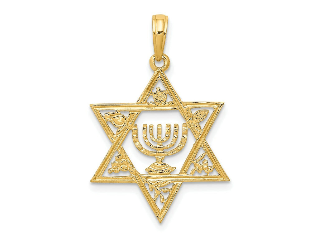FJC Finejewelers 10 kt Yellow Gold Star of David with Menorah Charm 27 x 18 mm