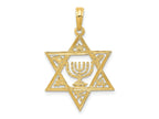 FJC Finejewelers 10 kt Yellow Gold Star of David with Menorah Charm 27 x 18 mm