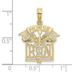 FJC Finejewelers 10 kt Yellow Gold Registered Nurse Charm 16 x 18 mm