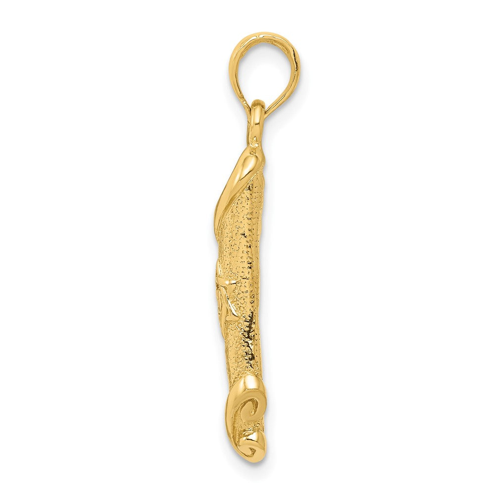 FJC Finejewelers 10 kt Yellow Gold Torah with Star of David Charm 30 x 6 mm