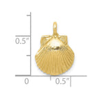 FJC Finejewelers 10 kt Yellow Gold Seashell Charm 18 x 12 mm