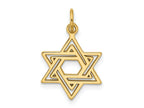 FJC Finejewelers 10 kt Yellow Gold Jewish Star Charm 24 x 15 mm