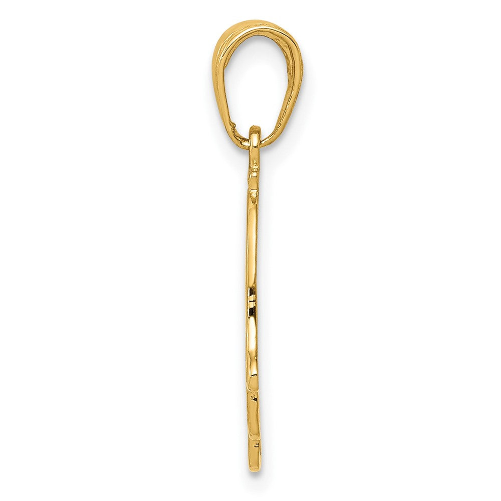 FJC Finejewelers 10 kt Yellow Gold Chamseh Charm 23 x 12 mm