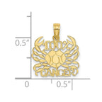 FJC Finejewelers 10 kt Yellow Gold 100% CANCER Zodiac Charm 16 x 15 mm