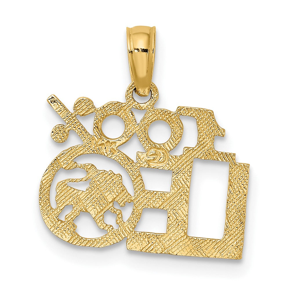 FJC Finejewelers 10 kt Yellow Gold 100% LEO Zodiac Charm 14 x 15 mm