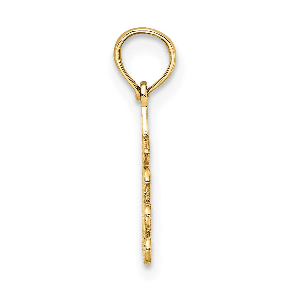 FJC Finejewelers 10 kt Yellow Gold 100% SAGITTARIUS Zodiac Charm 14 x 17 mm