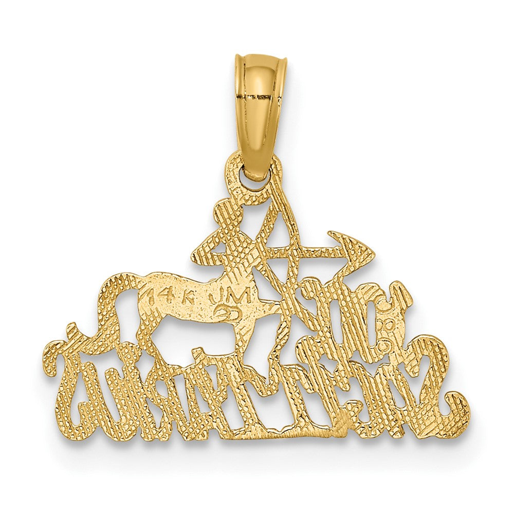 FJC Finejewelers 10 kt Yellow Gold 100% SAGITTARIUS Zodiac Charm 14 x 17 mm