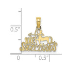 FJC Finejewelers 10 kt Yellow Gold 100% SAGITTARIUS Zodiac Charm 14 x 17 mm