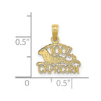 FJC Finejewelers 10 kt Yellow Gold 100% CAPRICORN Zodiac Charm 13 x 14 mm
