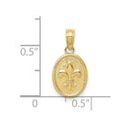 FJC Finejewelers 10 kt Yellow Gold Polished Small Fleur De Lis in Oval Charm 13 x 9 mm