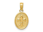 FJC Finejewelers 10 kt Yellow Gold Polished Small Fleur De Lis in Oval Charm 13 x 9 mm