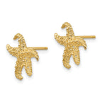 FJC Finejewelers 10 kt Yellow Gold Button Starfish Earrings 14 mm x 11 mm