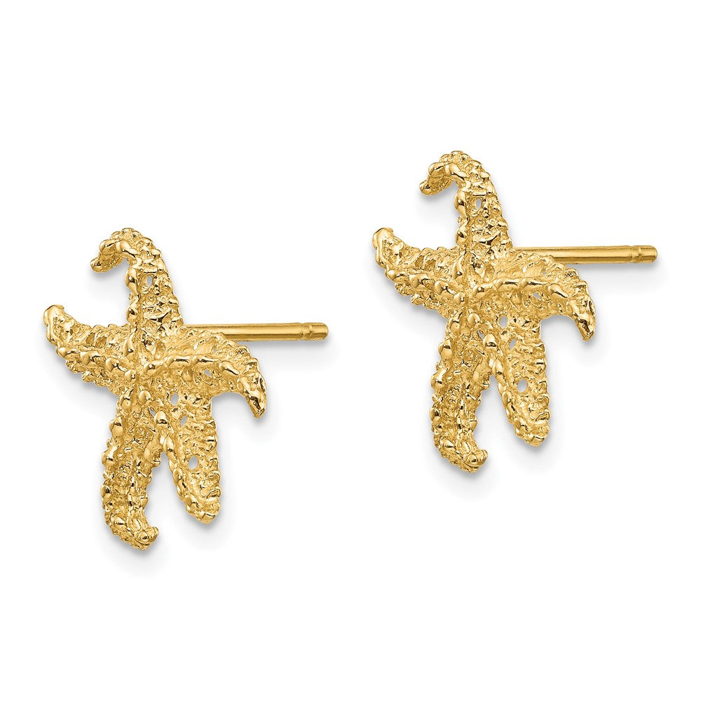 FJC Finejewelers 10 kt Yellow Gold Button Starfish Earrings 14 mm x 11 mm