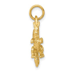 FJC Finejewelers 10 kt Yellow Gold Solid Polished 3-Dimensional Dragon Charm 21 x 13 mm