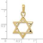 FJC Finejewelers 10 kt Yellow Gold Star of David Charm 31 x 18 mm