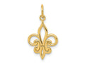 FJC Finejewelers 10 kt Yellow Gold Fleur De Lis Charm 22 x 12 mm
