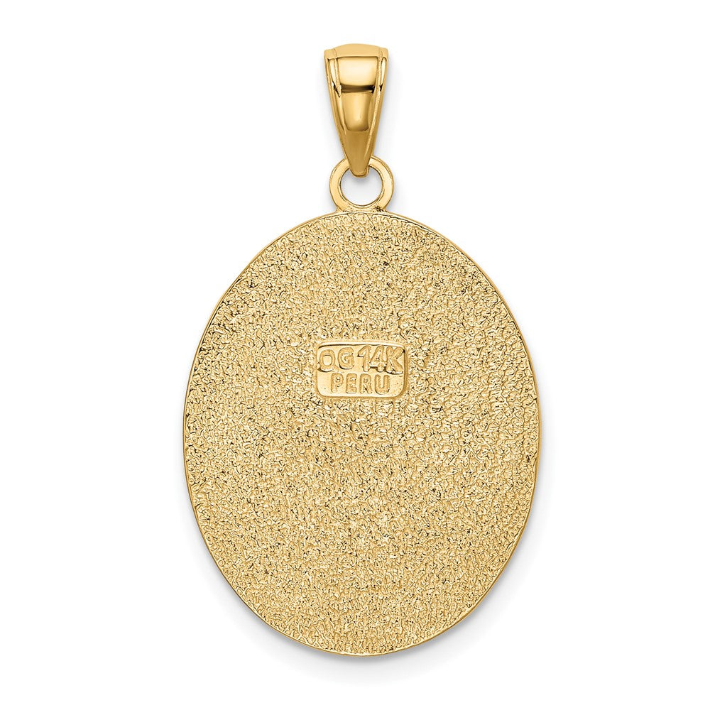 FJC Finejewelers 10 kt Yellow Gold Fleur-De-Lis on Oval Disk Charm 30 x 20 mm