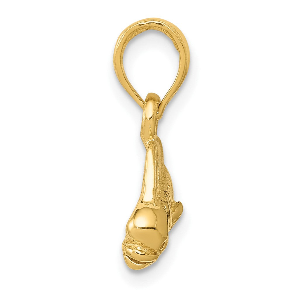 FJC Finejewelers 10 kt Yellow Gold Mahi Mahi Fish Charm 15 x 22 mm