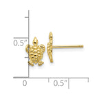 FJC Finejewelers 10 kt Yellow Gold Button Mini Turtle Post Earrings 9 mm x 6 mm