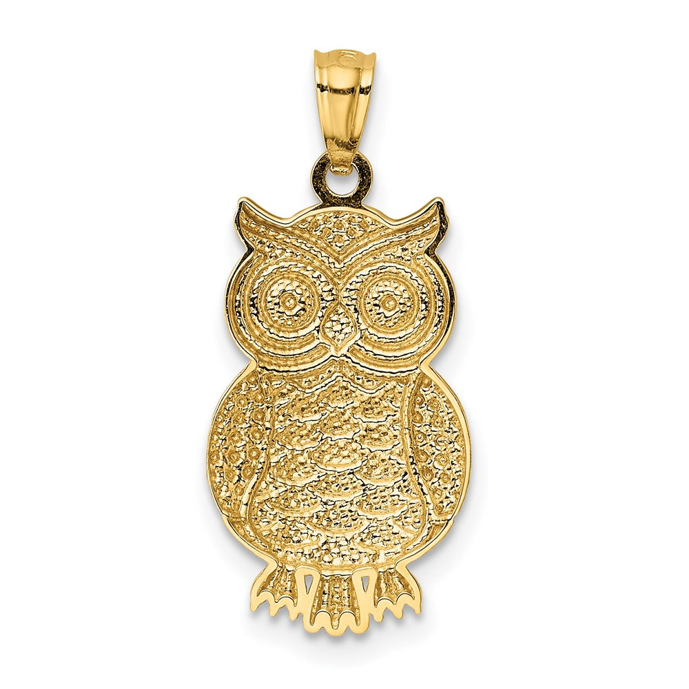 FJC Finejewelers 10 kt Yellow Gold and Rhodium Polished and Textured Owl Charm 26 x 12 mm