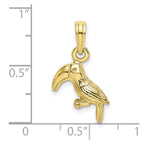 FJC Finejewelers 10 kt Yellow Gold 3-D Textured/Polished Toucan Bird Charm 18 x 12 mm