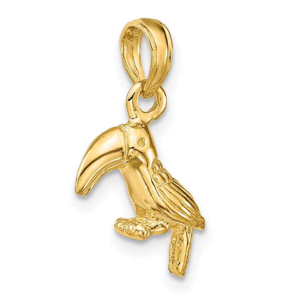 FJC Finejewelers 10 kt Yellow Gold 3-D Textured/Polished Toucan Bird Charm 18 x 12 mm