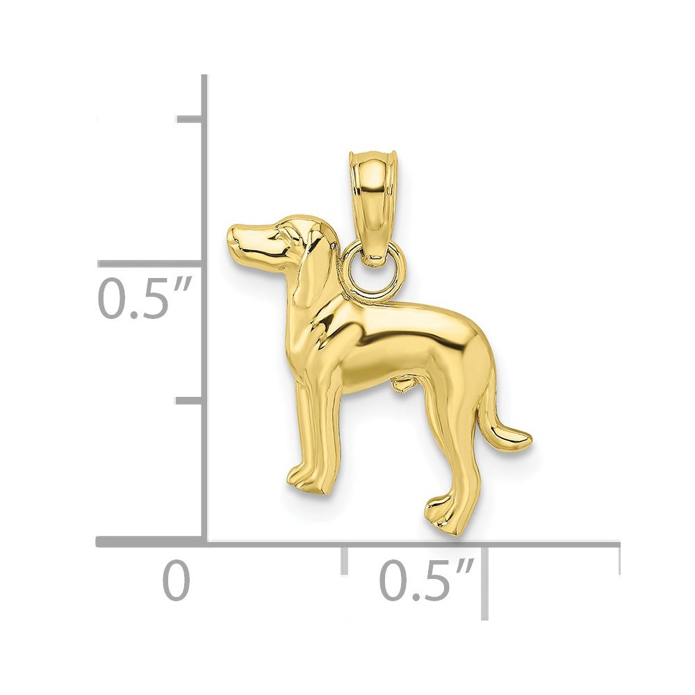 FJC Finejewelers 10 kt Yellow Gold 2-D Greyhound Dog Charm 19 x 13 mm