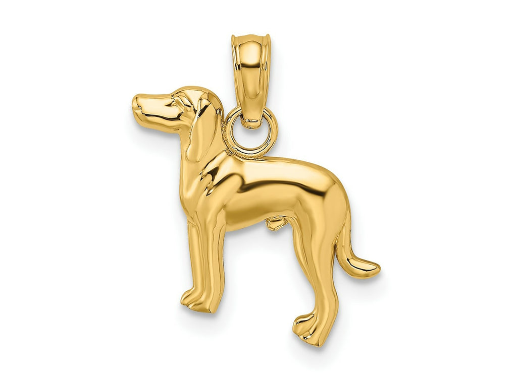 FJC Finejewelers 10 kt Yellow Gold 2-D Greyhound Dog Charm 19 x 13 mm