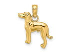 FJC Finejewelers 10 kt Yellow Gold 2-D Greyhound Dog Charm 19 x 13 mm
