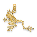 FJC Finejewelers 10 kt Yellow Gold 2-D Textured Frog Charm 20 x 23 mm
