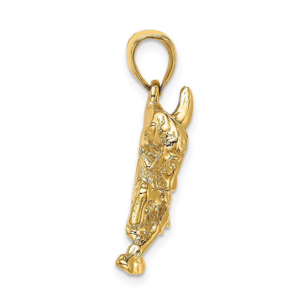 FJC Finejewelers 10 kt Yellow Gold Polished Raging Bull with Horns Charm 29 x 28 mm