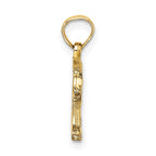FJC Finejewelers 10 kt Yellow Gold Textured Bear Charm 16 x 20 mm