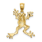 FJC Finejewelers 10 kt Yellow Gold 2-D Frog with Pot Belly Charm 28 x 7 mm