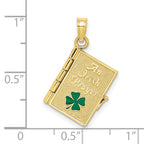 FJC Finejewelers 10 kt Yellow Gold 3-D Moveable Enameled AN IRISH PRAYER Book with Clover Charm 24 x 17 mm