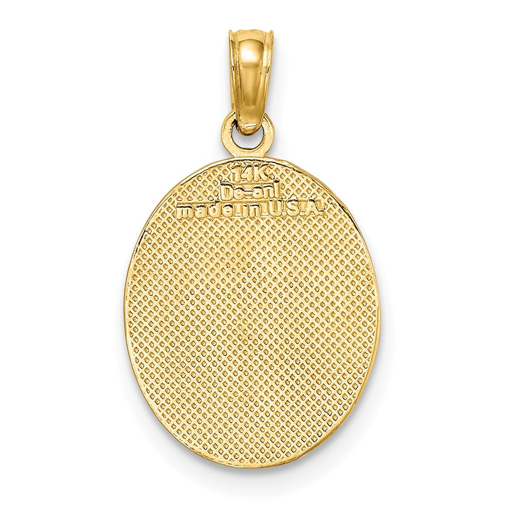 FJC Finejewelers 10 kt Yellow Gold Fleur de Lis on Oval Disc Charm 19 x 12 mm