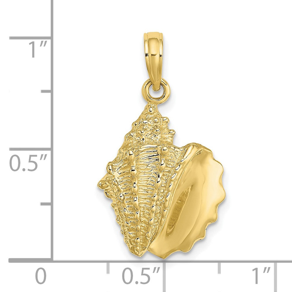 FJC Finejewelers 10 kt Yellow Gold 2-D Conch Shell Charm 17 x 14 mm