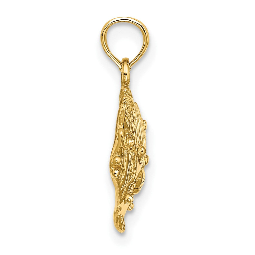 FJC Finejewelers 10 kt Yellow Gold 2-D Polished Engraved Fish Charm 13 x 17 mm