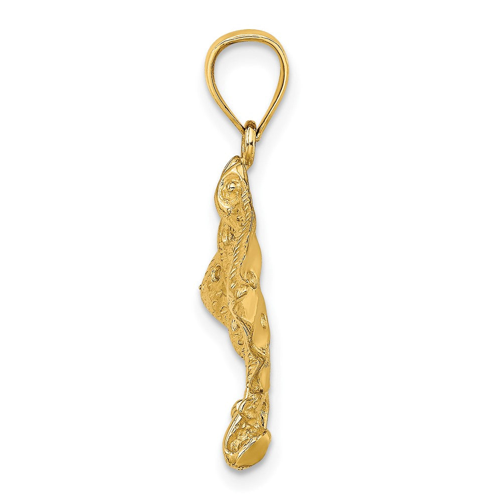 FJC Finejewelers 10 kt Yellow Gold 2-D Spotted Eagle Ray with Holes Charm 19 x 25 mm
