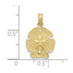 FJC Finejewelers 10 kt Yellow Gold Polished Sand Dollar Charm 14 x 13 mm