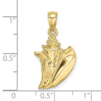 FJC Finejewelers 10 kt Yellow Gold 3-D Conch Shell Charm 19 x 15 mm