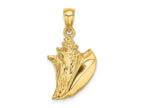 FJC Finejewelers 10 kt Yellow Gold 3-D Conch Shell Charm 19 x 15 mm