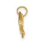 FJC Finejewelers 10 kt Yellow Gold Textured 2-D Marlin Fish Charm 10 x 26 mm