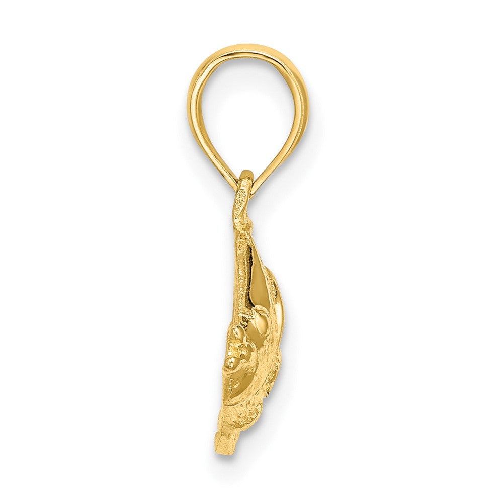 FJC Finejewelers 10 kt Yellow Gold Polished Textured Fish Charm 11 x 16 mm