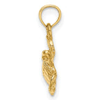 FJC Finejewelers 10 kt Yellow Gold Textured Sea Turtle Charm 11 x 16 mm